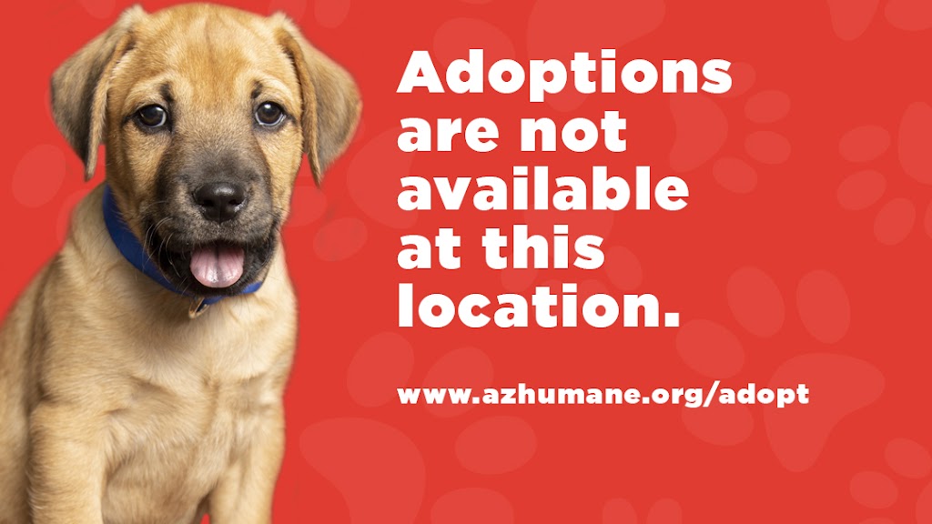 Arizona Humane Society Sunnyslope Campus | 9226 N. 13th Avenue, 1311 W Hatcher Rd, Phoenix, AZ 85021, USA | Phone: (602) 997-7585