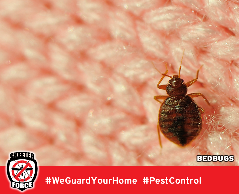 Skeeter Force LLC | 140 Golden Pheasant Dr, Slidell, LA 70461, USA | Phone: (985) 774-1189