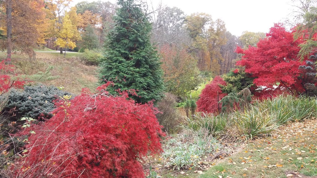 Mt. Airy Arboretum | 5100 Arboretum Rd, Cincinnati, OH 45223, USA | Phone: (513) 357-2604