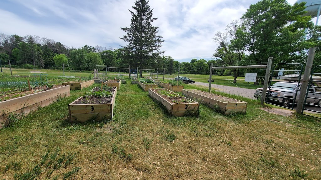 City Community Garden | 1700 E Rum River Dr S, Cambridge, MN 55008, USA | Phone: (763) 689-1810