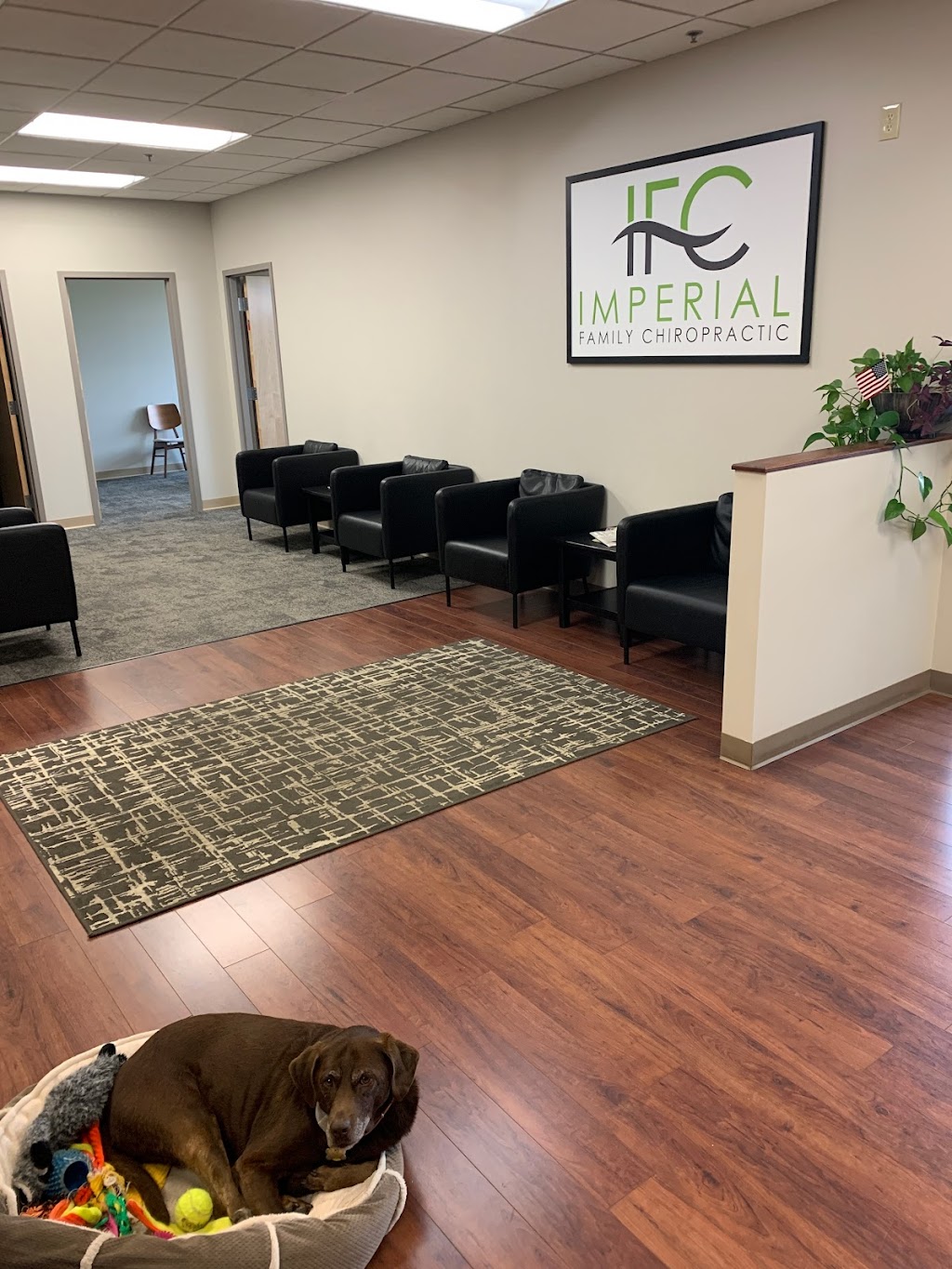 Imperial Family Chiropractic | 19685 Pilot Knob Rd # 260, Farmington, MN 55024, USA | Phone: (651) 478-6988