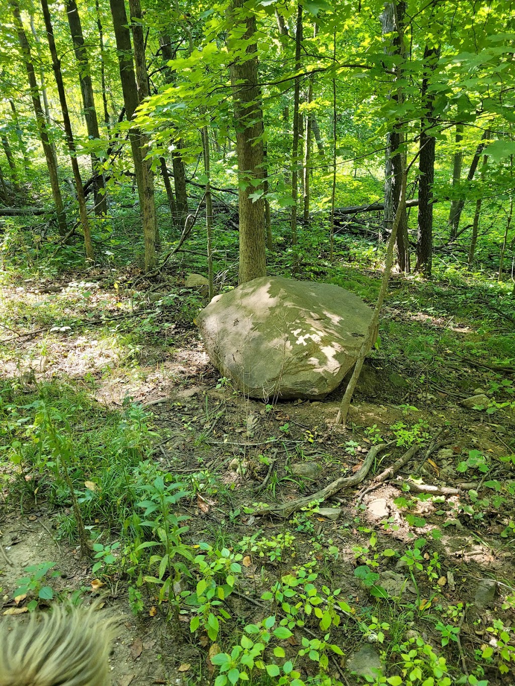 Nature Trail Parking Lot | 3532-3646 Powder Hill Rd, Slinger, WI 53086, USA | Phone: (262) 670-3400