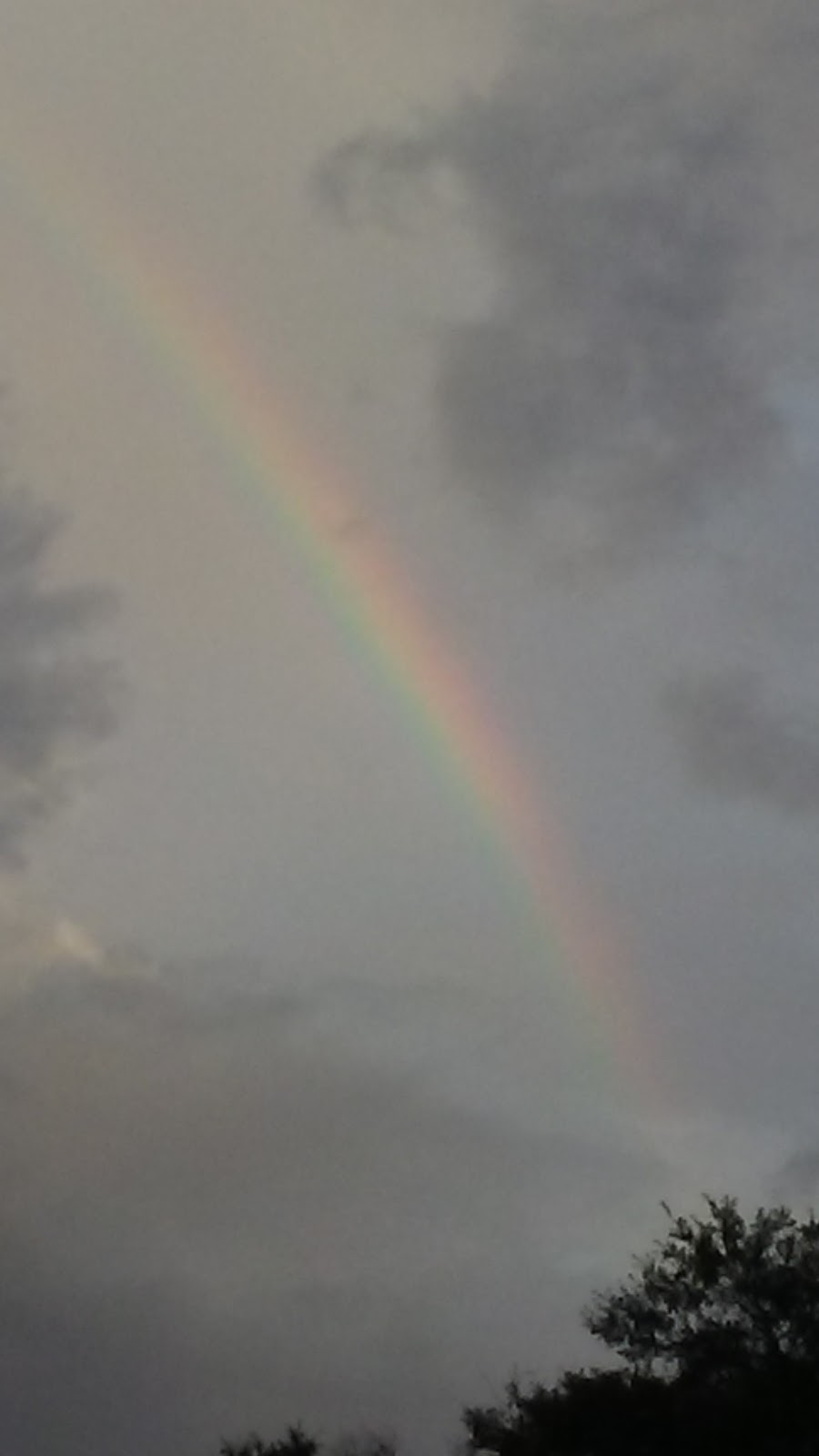 Mei Fitness - Keystone | 3855 E 96th St suite h, Indianapolis, IN 46240, USA | Phone: (800) 479-6710