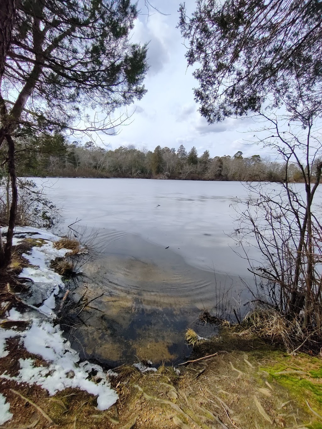 Parvin State Park Office | 701 Almond Rd, Pittsgrove, NJ 08318, USA | Phone: (856) 358-8616