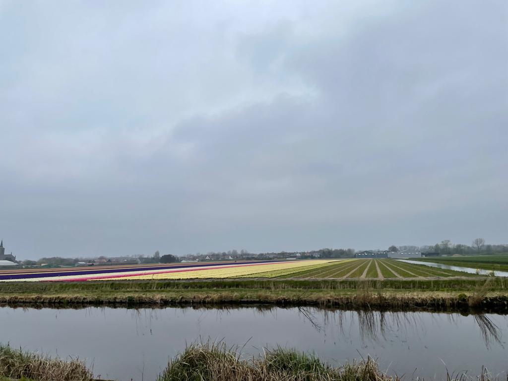 Bike Rent Amsterdam | Valkenburgerstraat 210, 1011 ND Amsterdam, Netherlands | Phone: 020 737 0262