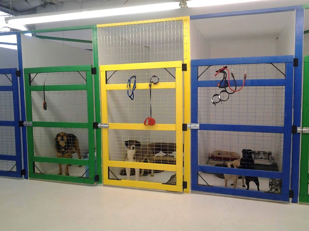 CARSON TAHOE KENNELS | 1040 Mallory Way, Carson City, NV 89701, USA | Phone: (775) 671-7941