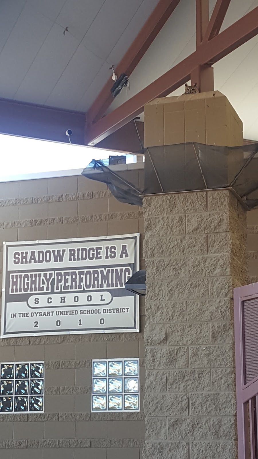 Shadow Ridge High School | 10909 N Perryville Rd, Surprise, AZ 85388, USA | Phone: (623) 523-5100