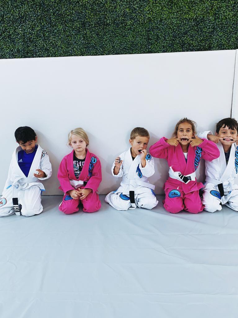 Arise Martial Arts | 4563 SW 71st Ave, Miami, FL 33155, USA | Phone: (305) 781-7949