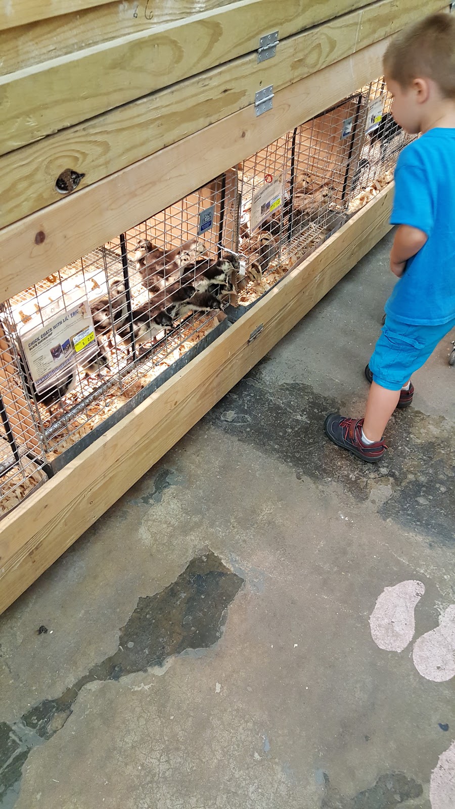 Buchheit of House Springs | 4550 Gravois Rd, House Springs, MO 63051, USA | Phone: (636) 671-8181