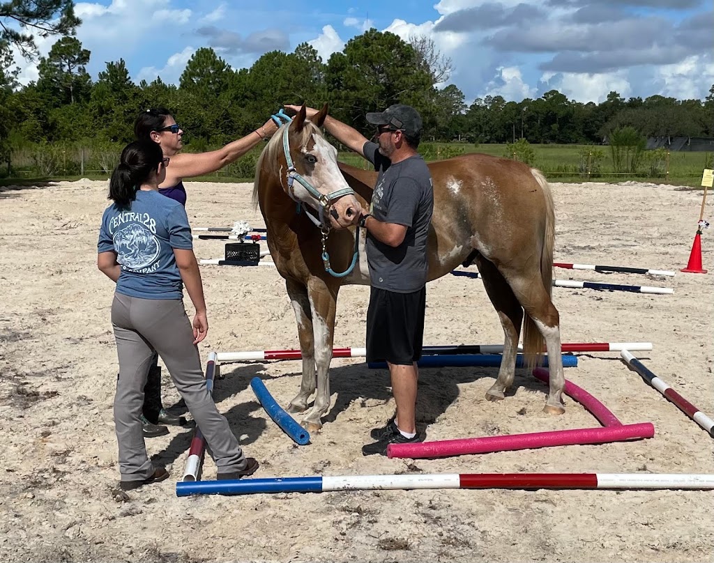 Thunders Run Ranch | Little Brown Church Rd, Pierson, FL 32180, USA | Phone: (904) 859-6415