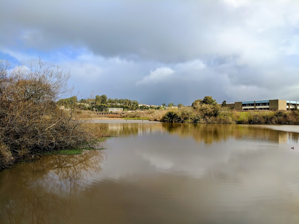 Antonelli Pond | Antonelli Pond, Santa Cruz, CA 95060, USA | Phone: (831) 429-6116