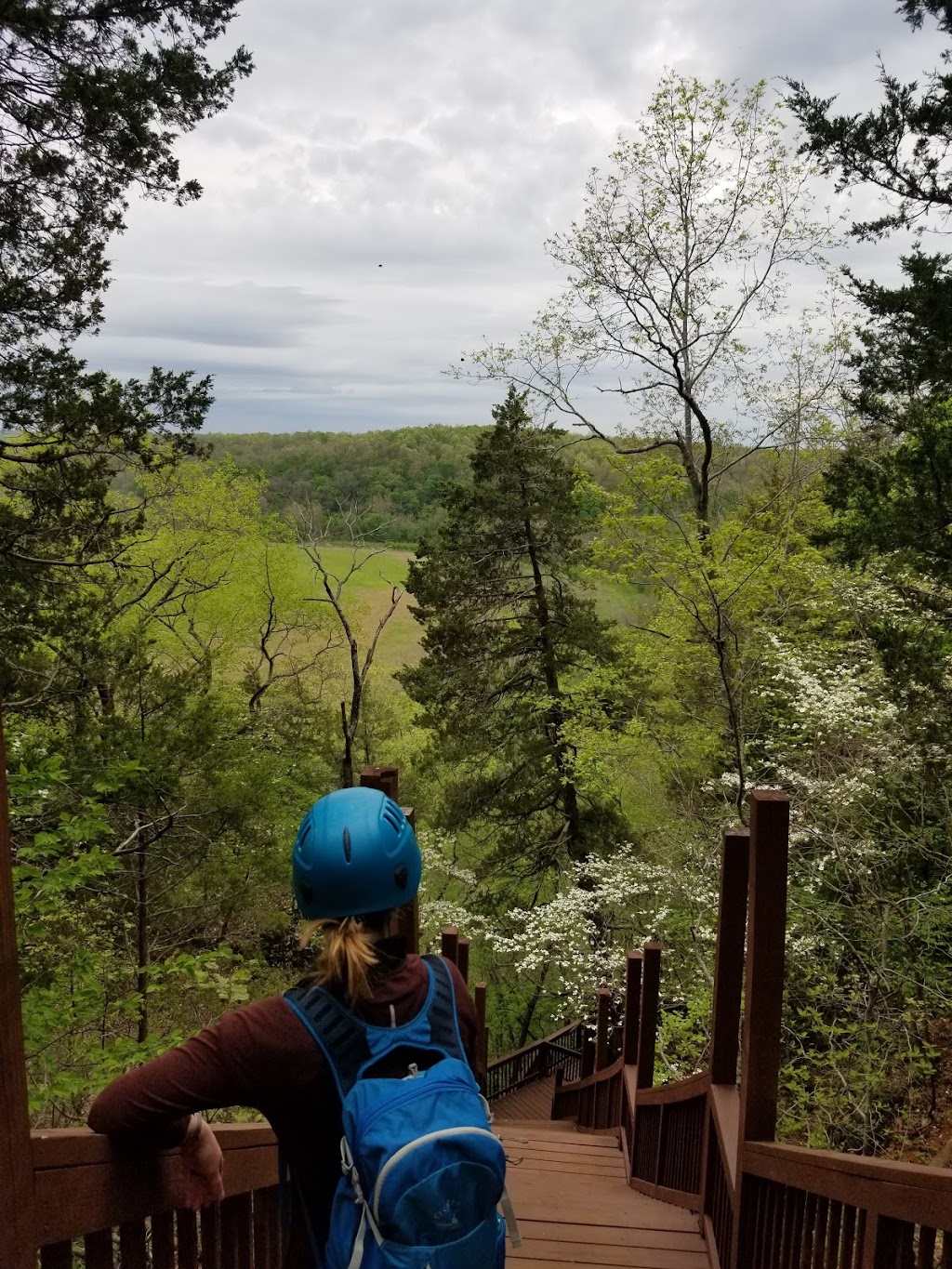 Robinson Bluff Climbing Area | 11050 Bo Hollow Rd, Cadet, MO 63630, USA | Phone: (314) 258-0250