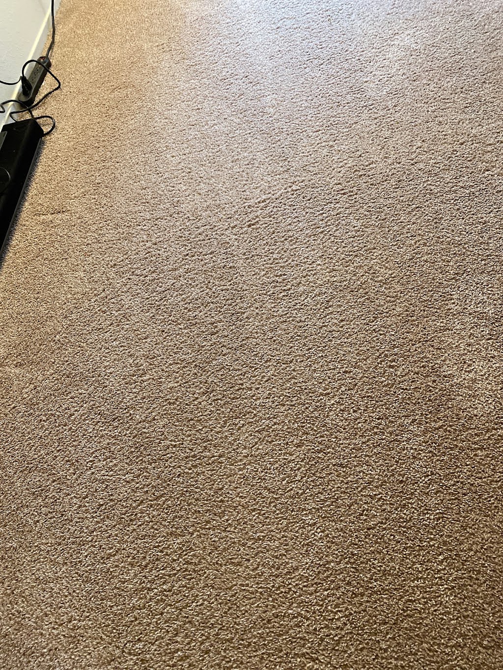 EVER/READY Carpet Cleaning | 267 E Hamlin Rd, Rochester Hills, MI 48307, USA | Phone: (248) 587-7331