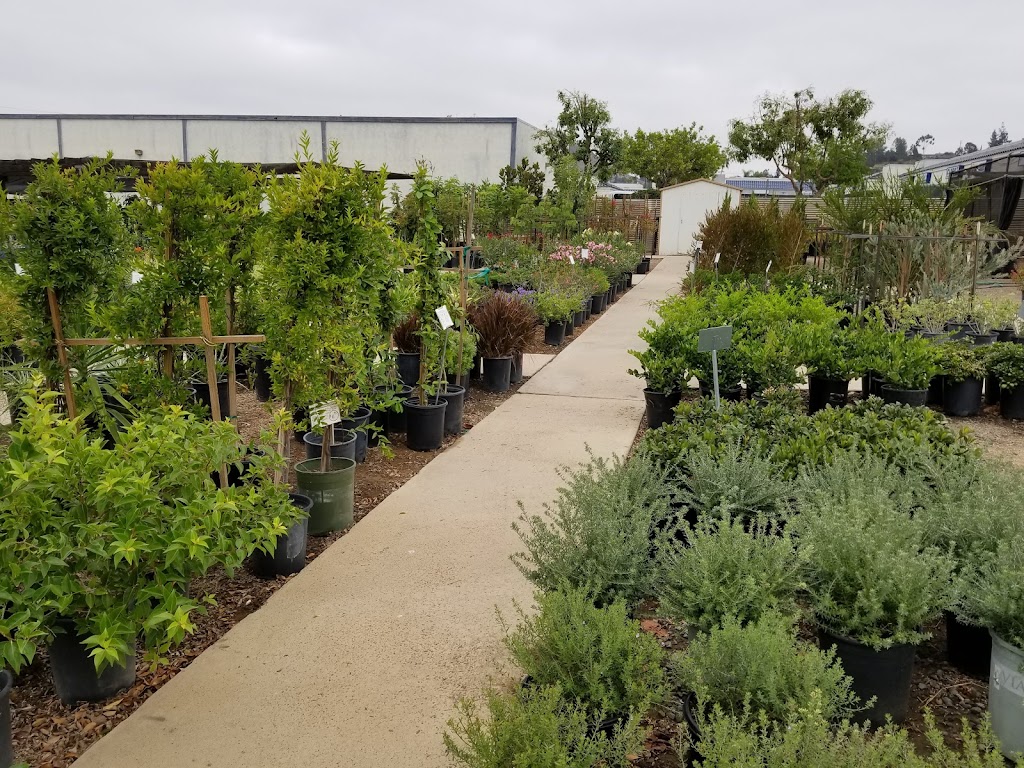 Plant House Nursery | 1163 N 2nd St, El Cajon, CA 92021, USA | Phone: (619) 442-2549 Plant House Nursery | 1163 N 2nd St, El Cajon, CA 92021, USA | Phone: (619) 442-2549