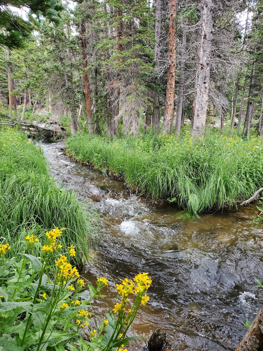 Pawnee Campground/Long Lake Trailhead | South St Vrain Creek,, Ward, CO 80481, USA | Phone: (303) 541-2500