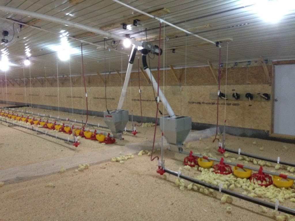 Poultry Equipment Plus, Inc. | 5940 W Marshville Blvd, Marshville, NC 28103, USA | Phone: (704) 624-2031