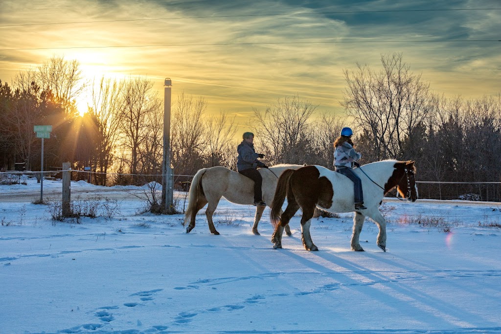 GRG Ranch Horse Rescue & Sanctuary | 3380 233rd St E, Prior Lake, MN 55372, USA | Phone: (612) 801-2031