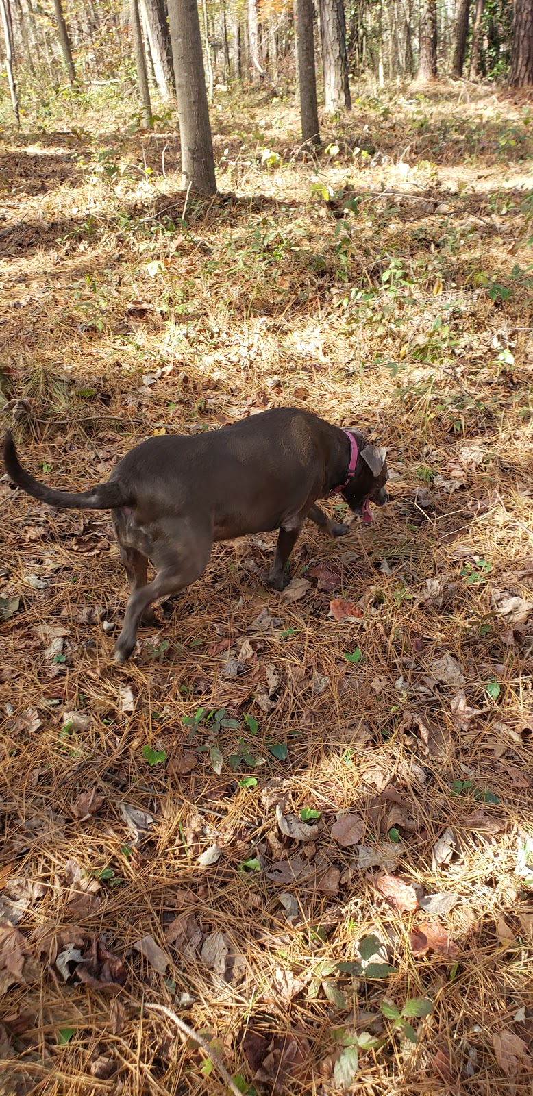 United Quest Park | 605 Hawkins Store Rd NE, Kennesaw, GA 30144, USA | Phone: (770) 220-4089 United Quest Park | 605 Hawkins Store Rd NE, Kennesaw, GA 30144, USA | Phone: (770) 220-4089