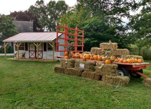 Dizzy Does Goat Ranch & Farm Store | 4180 Dayton Rd, Madison, OH 44057, USA | Phone: (440) 299-8301