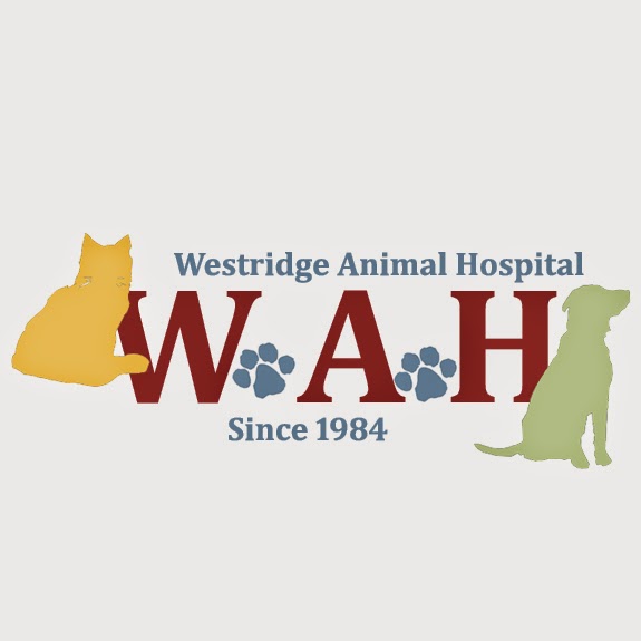 Westridge Animal Hospital | 9911 Camp Bowie W Blvd, Fort Worth, TX 76116, USA | Phone: (817) 244-7742