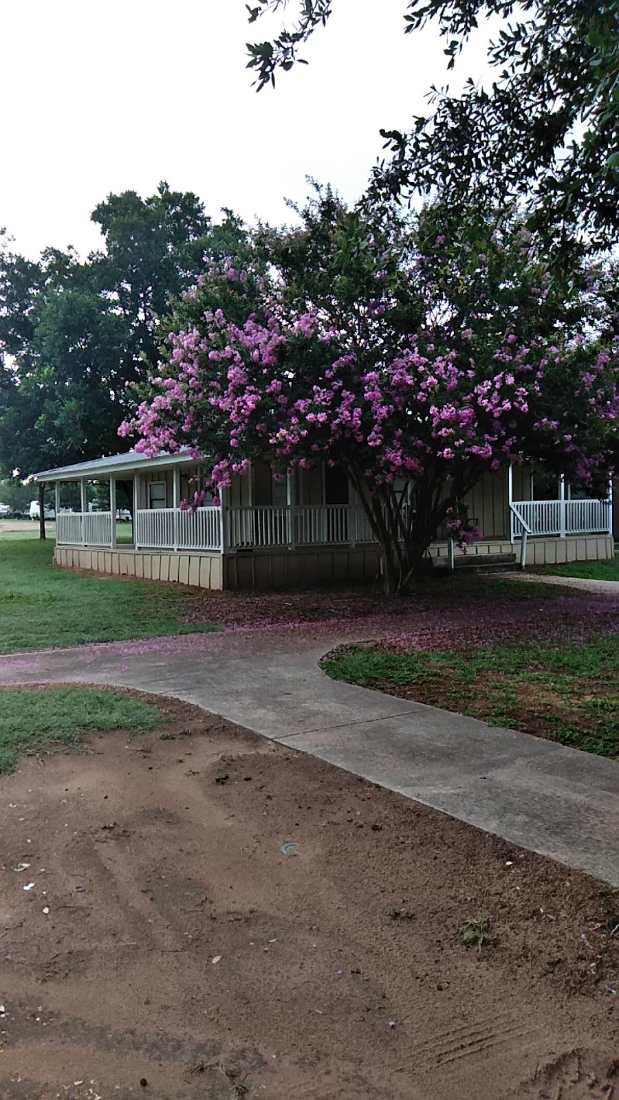 Pecan Tree RV Park | 2920 2nd St, Pleasanton, TX 78064, USA | Phone: (830) 377-7310