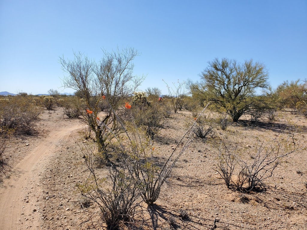 Fantasy Island Mountain Bike Park (North) | 9500 E Irvington Rd, Tucson, AZ 85730, USA | Phone: (520) 791-4873