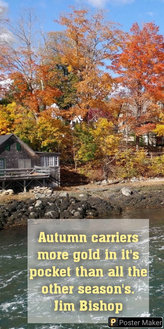 South Mall Towers Apartments | 101 S Pearl St, Albany, NY 12207, USA | Phone: (518) 463-0294