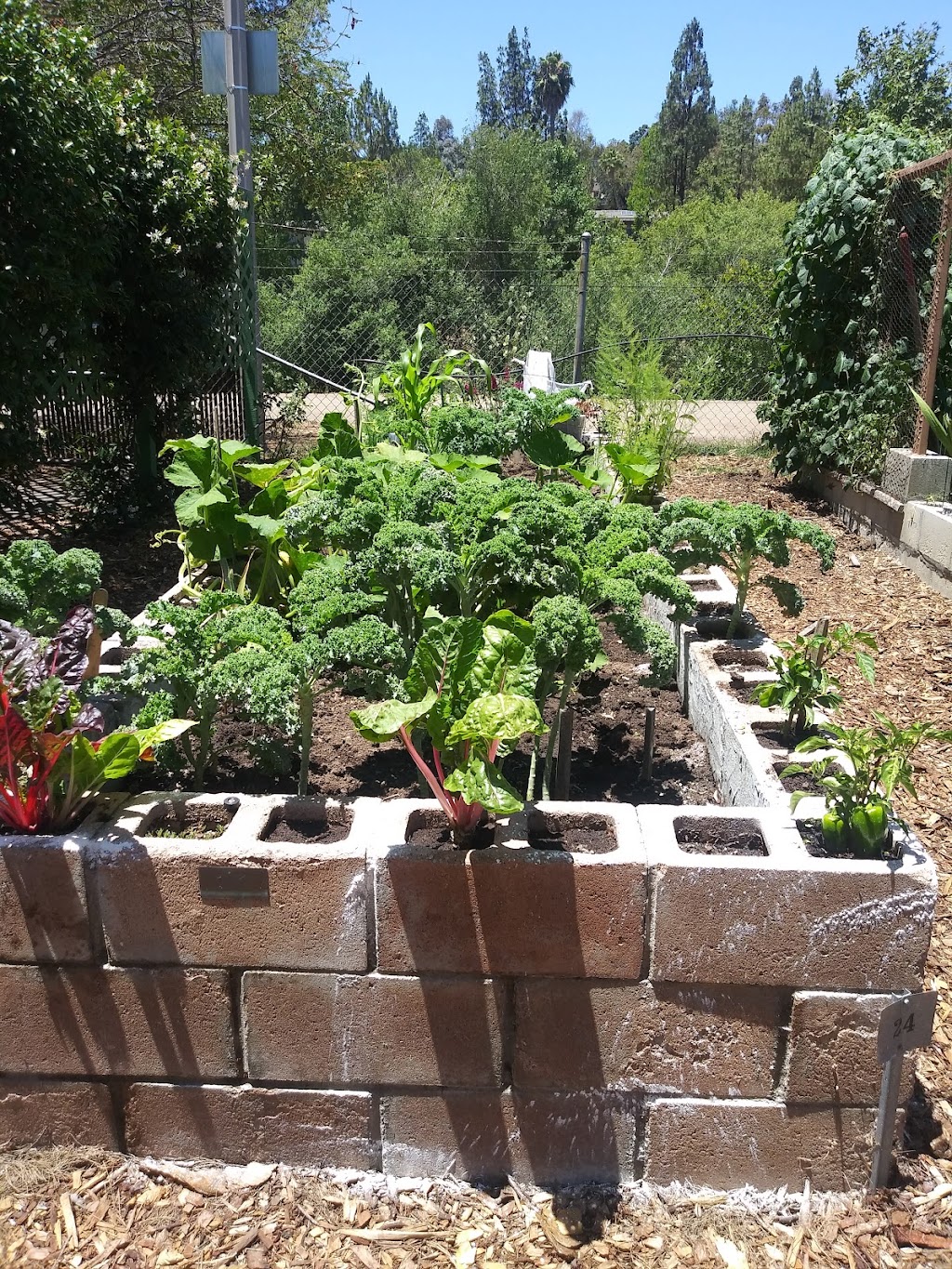 Escondido Community Garden | W Lincoln Ave &, Morning View Dr, Escondido, CA 92026 | Phone: (760) 580-4390