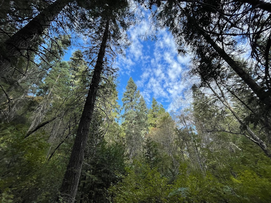 Doane Valley Nature Nature Preserve | Palomar Mountain, CA 92060, USA | Phone: (619) 990-0738