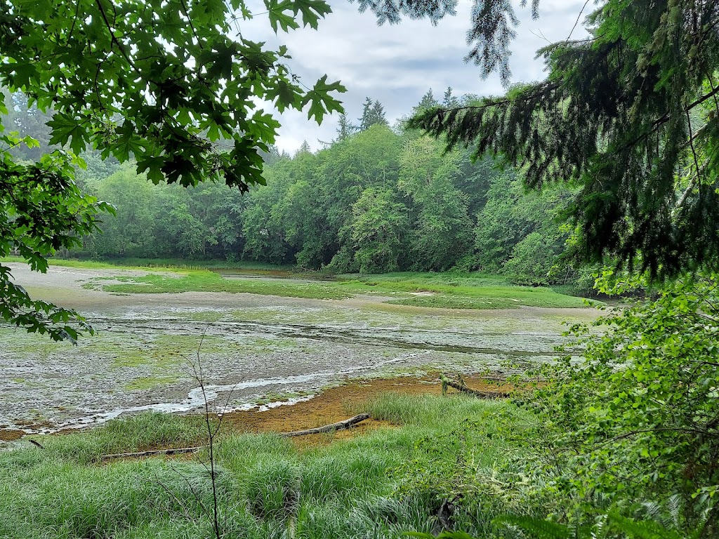 Tolmie State Park | 7730 61st Ave NE, Olympia, WA 98506, USA | Phone: (360) 456-6464