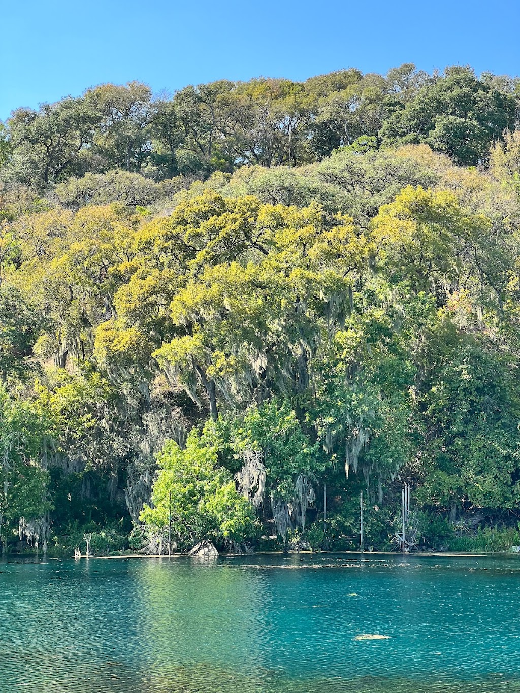 Spring Lake | 201 San Marcos Springs Dr, San Marcos, TX 78666, USA | Phone: (512) 245-7590