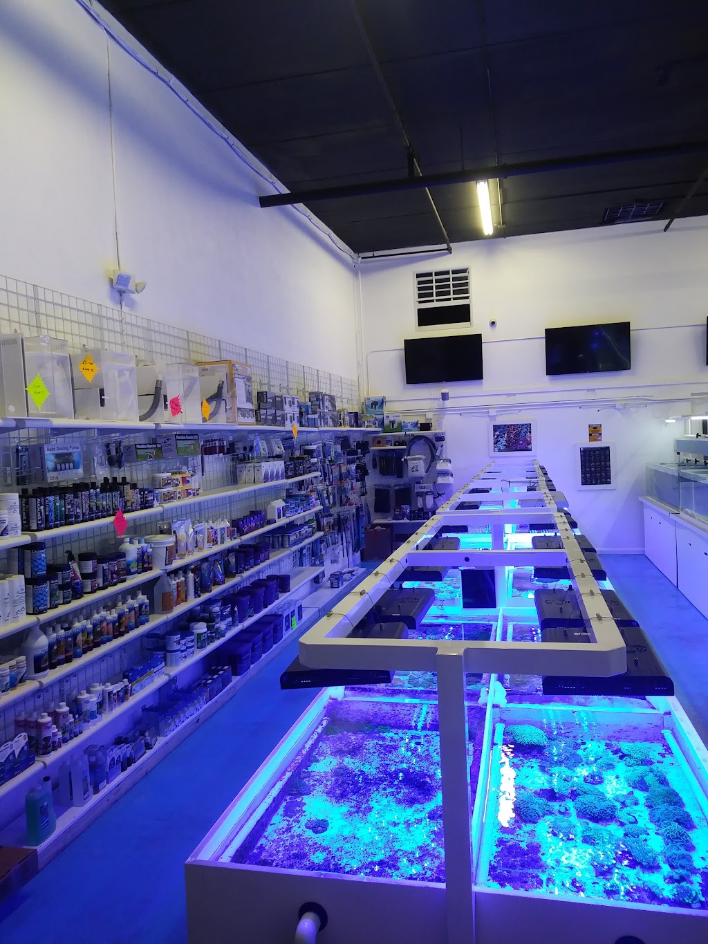 VIP Reef Aquarium | 16300 SW 137th Ave #121, Miami, FL 33177, USA | Phone: (305) 278-7777