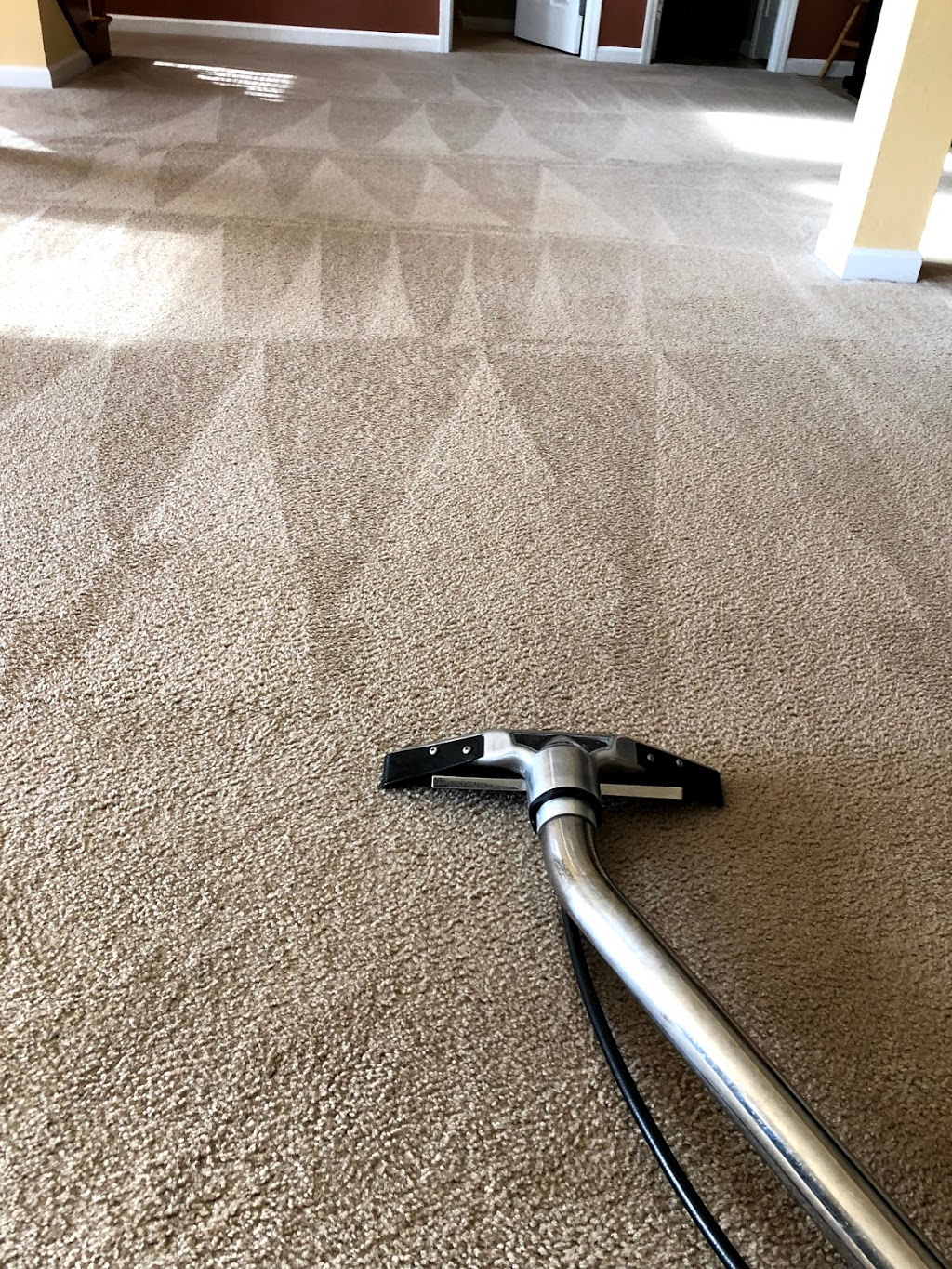 AO Cleaning Carpet Care & Restoration,LLC | 4185 Hanover Rd #6, Columbia, IL 62236, USA | Phone: (618) 593-8102