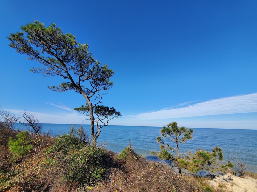 Savage Neck Dunes State Natural Area Preserve Parking Lot | 2186 Savage Neck Rd Drive, Cape Charles, VA 23310, USA | Phone: (757) 787-5989