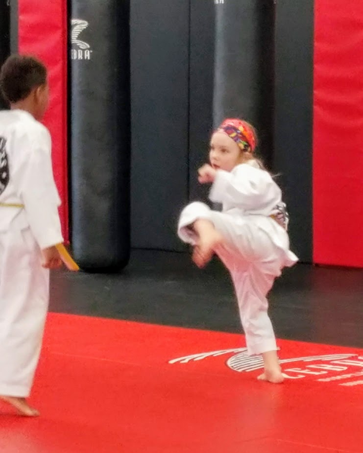 K2 Martial Arts Academy LLC | 6347 Rolling Rd, Springfield, VA 22152, USA | Phone: (703) 569-6969