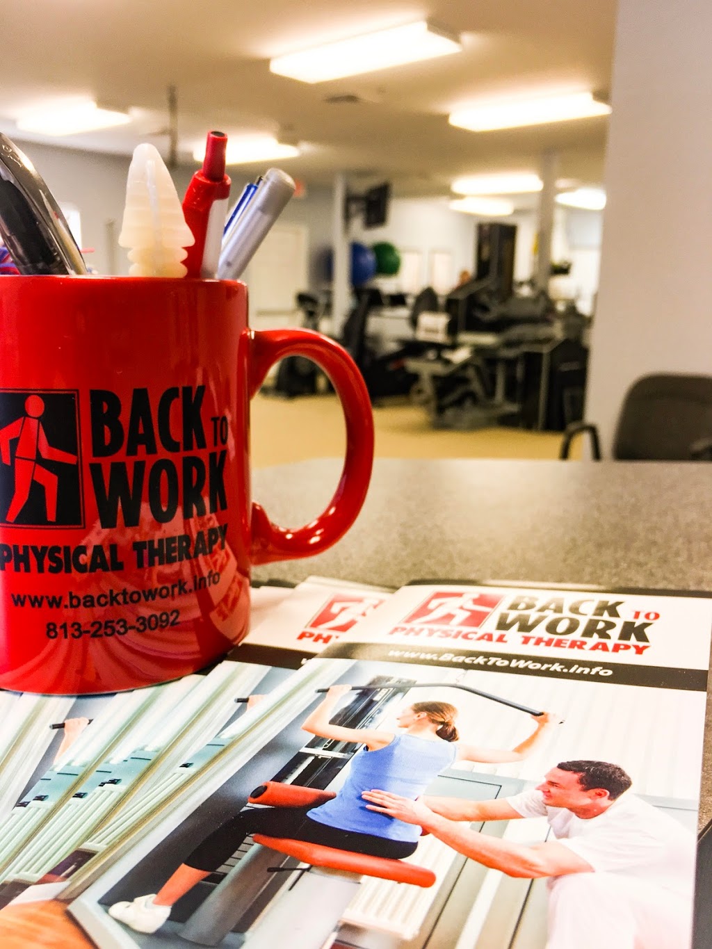 Back To Work Physical Therapy - Westchase | 10960 Sheldon Rd, Tampa, FL 33626, USA | Phone: (813) 926-4346