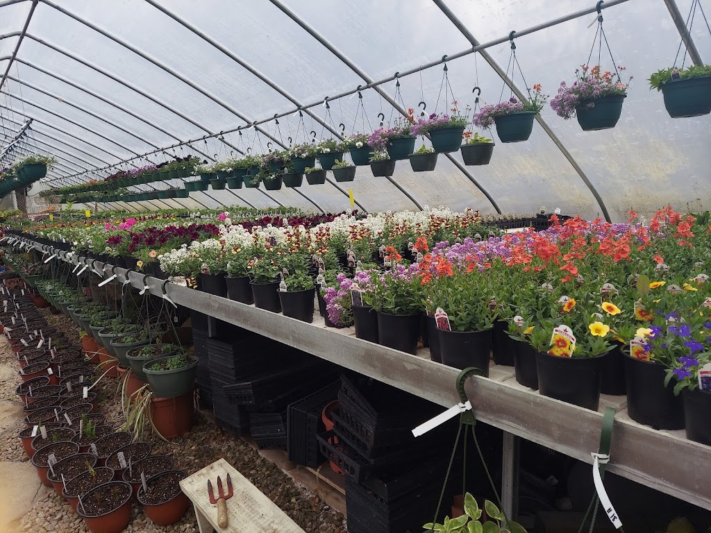 Always In Bloom Home & Garden | 10027 Silica Sand Rd, Garrettsville, OH 44231, USA | Phone: (216) 276-9304