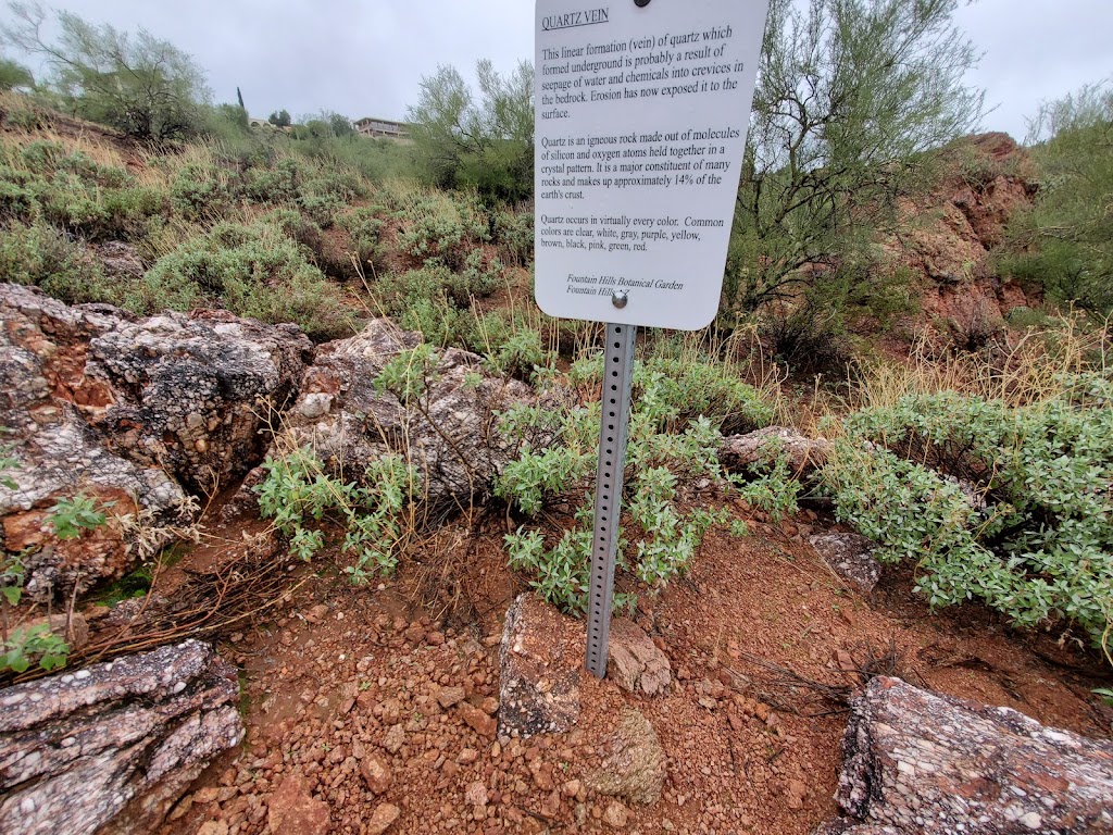 Fountain Hills Desert Botanical Garden | 11300 N Fountain Hills Blvd, Fountain Hills, AZ 85268 | Phone: (480) 816-5100