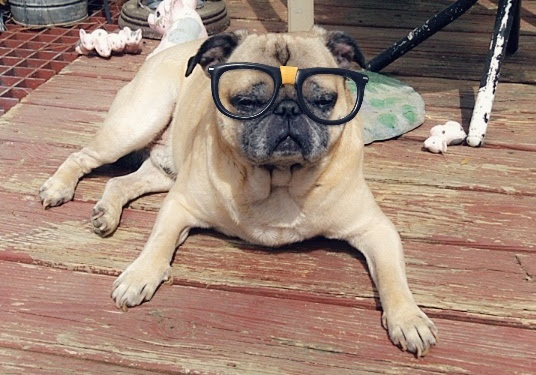 Gibbs Park | 16641 Graham St, Huntington Beach, CA 92649, USA | Phone: (714) 536-5486 Gibbs Park | 16641 Graham St, Huntington Beach, CA 92649, USA | Phone: (714) 536-5486