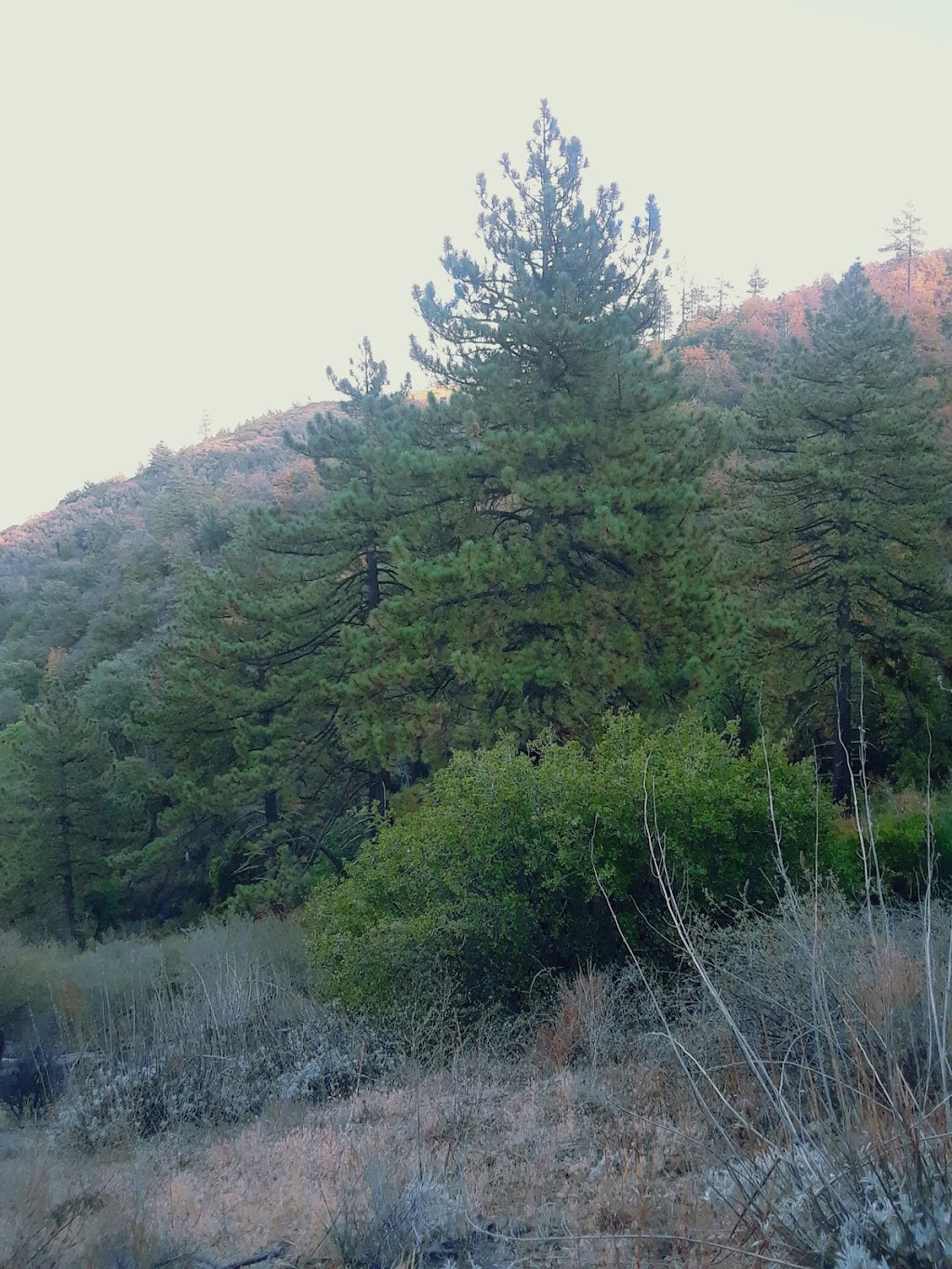 Cahuilla Mountain Trail 2E45 | Forest Rte 7S04, Aguanga, CA 92536, USA | Phone: (909) 382-2921