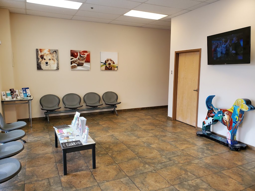 John Rolfe Animal Hospital | 2312 John Rolfe Pkwy, Richmond, VA 23233, USA | Phone: (804) 918-4844