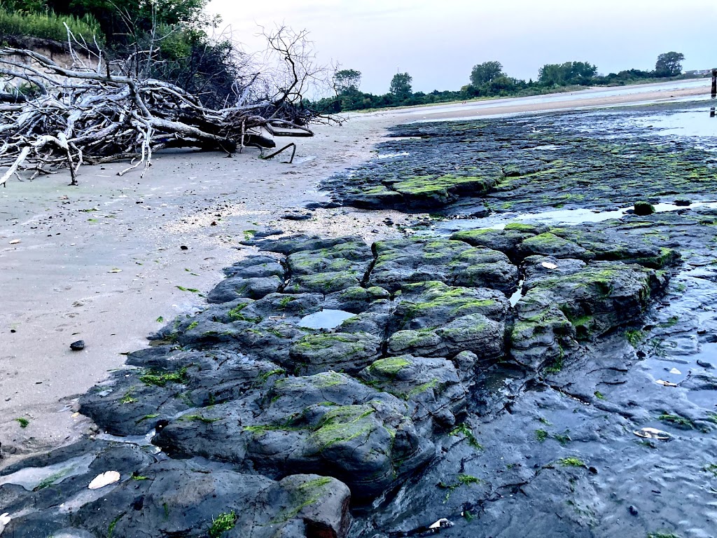 Gull Island Conservation Area | Point Pleasant, NJ 08742, USA | Phone: (732) 506-9090