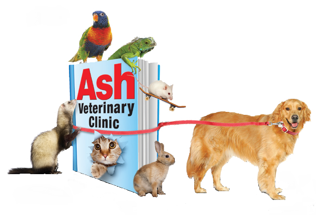 Ash Veterinary Clinic | 12435 Telegraph Rd #9497, Carleton, MI 48117, USA | Phone: (734) 782-2827