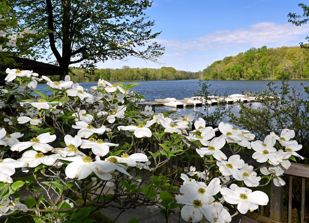 Chain O’ Lakes State Park | 2355 E 75 S, Albion, IN 46701, USA | Phone: (260) 636-2654