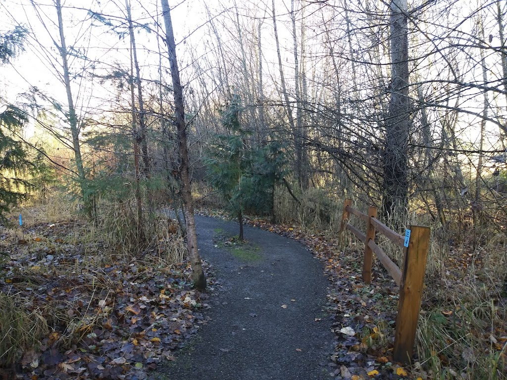 Silver Creek Riparian Zone | 1043 12th Ave SW, Puyallup, WA 98371, USA | Phone: (253) 841-4321