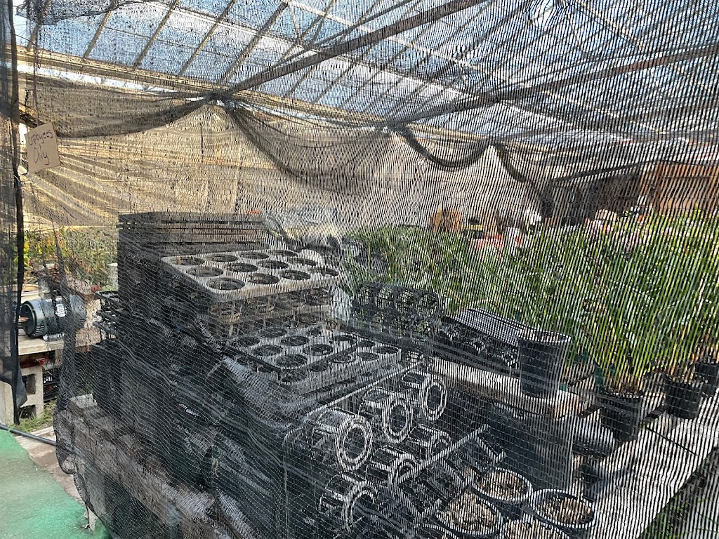 Bay Area Orchids | 12511 San Mateo Rd, Half Moon Bay, CA 94019, USA | Phone: (650) 922-4975