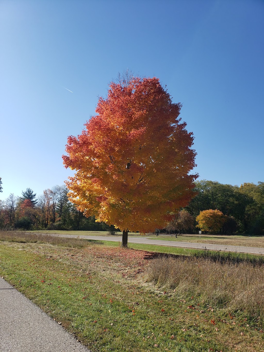 Stony Creek Metropark Nature Center | 4300 Main Park Road, Shelby Township, MI 48316, USA | Phone: (586) 781-4242