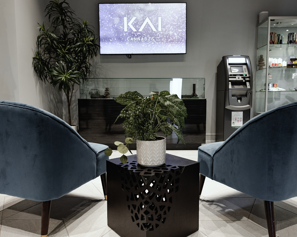 Kai Cannabis Co. - Adrian - 1579 W Maumee St, Adrian, MI 49221, USA ...