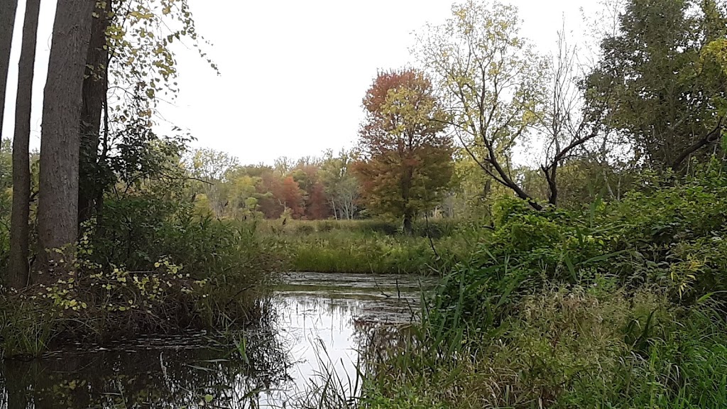 Lake St. Clair Metropark Nature Center | 31300 Metro Parkway, Harrison Twp, MI 48045, USA | Phone: (586) 463-4332