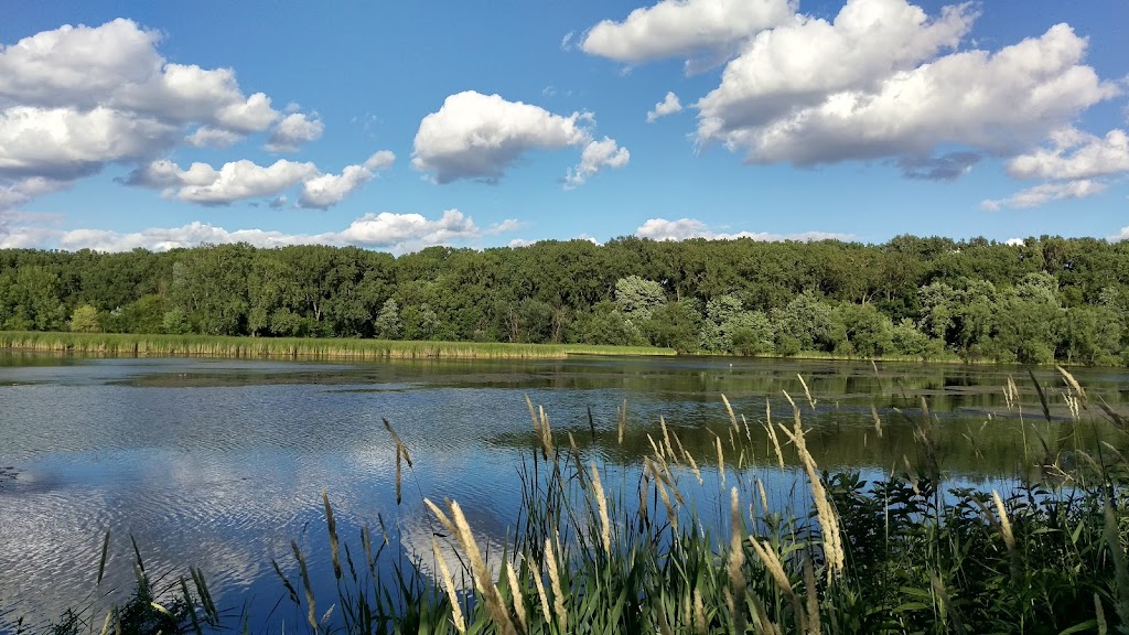 Wood Lake Nature Center | 6710 Lake Shore Dr S, Richfield, MN 55423, USA | Phone: (612) 861-9365